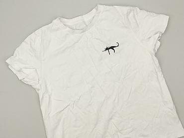 gatta kolory: T-shirt damski, rozmiar 2XL — 1