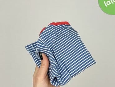 pitbull koszulka termoaktywna: Blouse, 3-6 months, condition - Good — 6
