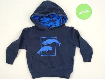 spodnie softshell dla dzieci lidl: Sweatshirt, Lupilu, 1.5-2 years, 86-92 cm, condition - Perfect — 2