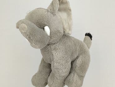 triumf sklep z bielizną: Mascot Elephant, condition - Perfect — 4
