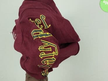 harry potter bez koszulki: Sinsay, Bluza damska
, rozmiar XS — 6