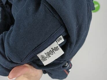 dopasowane sweterki: Sweatshirt, Harry Potter, 15 years, 164-170 cm, condition - Very good — 5