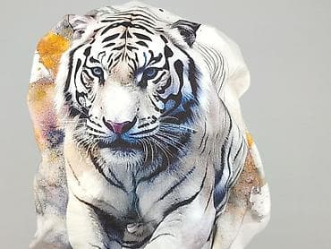 levis t shirt basic: Koszulka dla mężczyzn, rozmiar XL — 5