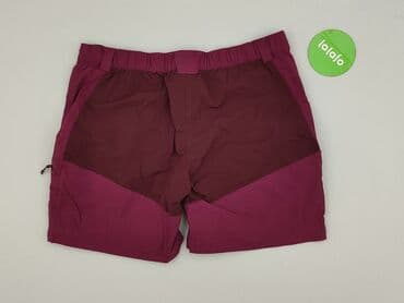 lidl spodnie trekkingowe: Forclaz, Shorts for men, size XL — 3