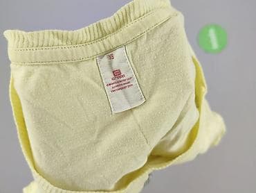 t shirty mint: Wonder, T-shirt damski, rozmiar XS — 4