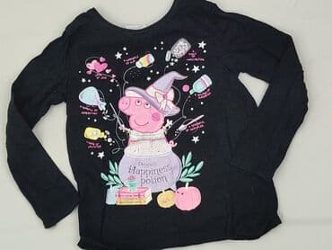 podkoszulki z napisami: Sweatshirt, 5-6 years, 110-116 cm, condition - Very good — 1