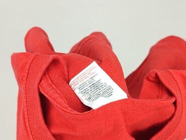 red bull f1 t shirt: Fruit Of The Loom, Koszulka dla mężczyzn, rozmiar M — 6