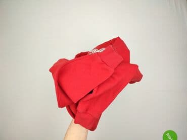 der oder das t shirty: FBsister, Bluza damska
, rozmiar XS — 6