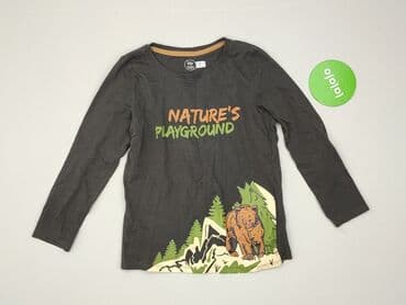 koszulki z napisami allegro: Sweatshirt, Little kids, 8 years, 122-128 cm, condition - Perfect — 2