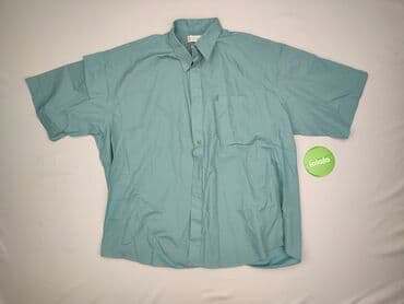 koszulka z gołębiem allegro: Shirt for men, L (EU 40), condition - Perfect — 2