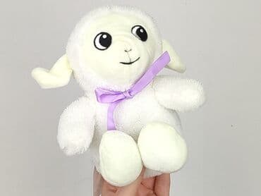 kapcie w ccc: Mascot condition - Very good — 4