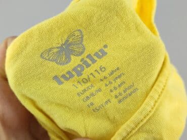 pluszowa kurtka z kapturem: Blouse, Lupilu, 5-6 years, 110-116 cm, condition - Perfect — 4