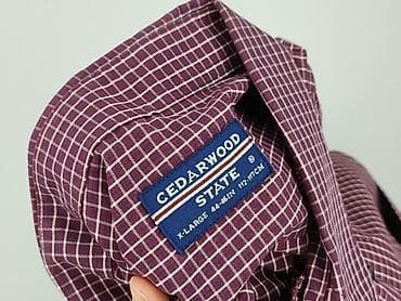 basic tommy hilfiger t shirty: Cedar Wood State, Koszulа dla mężczyzn, rozmiar XL — 4