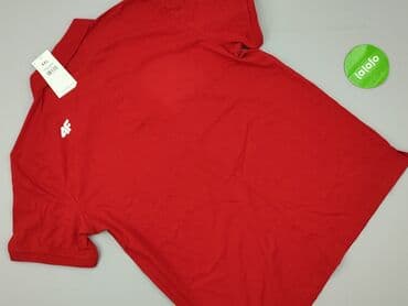wojan koszulki allegro: Koszulka polo dla mężczyzn, 2XL, 4F, stan - Idealny — 3