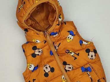 Vest, Fox&Bunny, 3-6 months, condition - Very good at lalafo.pl Vest, Fox&Bunny, 3-6 months, condition - Very good