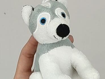 koszulka z labradorem: Mascot Dog, condition - Perfect — 4
