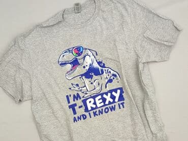 T-shirty: Koszulka dla mężczyzn, L, Gildan, stan - Idealny