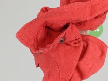 sweter dla niemowlaka: T-shirt, Rebel, 9-12 months, condition - Very good — 4