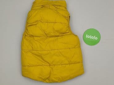 kurtka jesienna tommy hilfiger: Kamizelka, H&M, 5-6 lat, 110-116 cm, stan - Bardzo dobry — 3