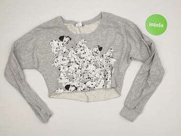 bluzki dla psa: Bluza damska
, XS — 2