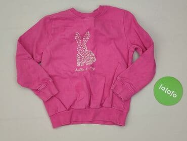 koszulka tech fleece: Світшот, Little kids, 7 р., 116-122 см, стан - Дуже гарний — 2