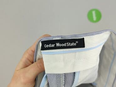 stradivarius marynarki wyprzedaż: Cedar Wood State, Szorty dla mężczyzn, M — 4