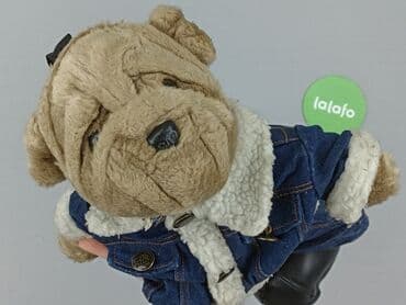 lidl torba termiczna: Рюкзак, стан - Ідеальний — 4
