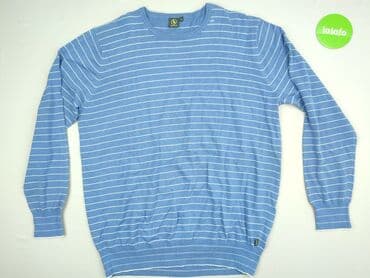 koszulki wisla plock: Sweter, 2XL (EU 44), Aigle, condition - Perfect — 2