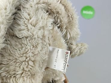 lidl bluzy: Kurtka zimowa, Ladybird, 1.5-2 lat, 86-92 cm, stan - Bardzo dobry — 5