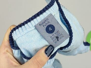 spodenki napapijri: Sweatshirt, 3-4 years, 98-104 cm, condition - Very good — 4