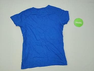 cider koszula: Cedar Wood State, T-shirt damski, rozmiar M — 3