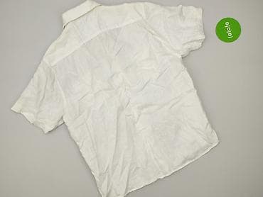 Shirts: Cedar Wood State, Shirt for men, size L at lalafo.pl — 3 Shirts: Cedar Wood State, Shirt for men, size L — 3