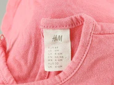 koszulka z dobermanem hm: T-shirt, H&M, 3-6 months, condition - Very good — 4