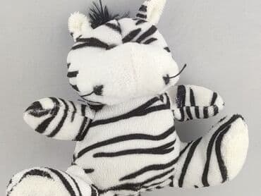 Mascot condition - Very good