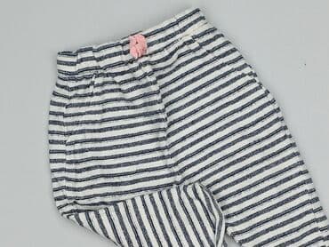 sukienki sweterkowe plus size: Sweatpants, Pepco, 6-9 months, condition - Perfect — 1