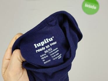sweterki lidl: Body, Lupilu, 1.5-2 lat, 86-92 cm, stan - Bardzo dobry — 4