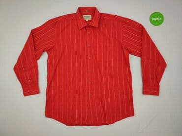 t shirty 4xl allegro: Women`s shirt, size XL (EU 42) — 2