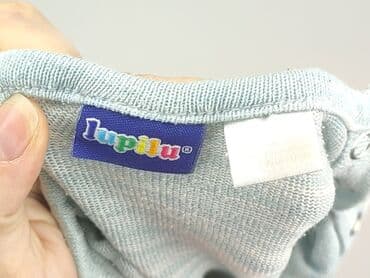 lidl spodnice: Sweater, Lupilu, 6-9 months, condition - Good — 4