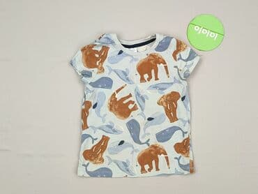 camper sandały dziecięce: Koszulka, So cute, 2-3 lat, 92-98 cm, stan - Bardzo dobry — 2