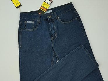 evisu jeans: Jeansy damskie, rozmiar L — 1