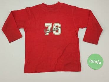 lidl bielizna termoaktywna dla dzieci: Sweatshirt, 4-5 years, 104-110 cm, condition - Good — 2