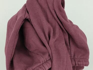 wojcik rajstopy: Sweatshirt, 14 years, 158-164 cm, condition - Very good — 5