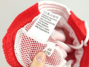 spodnie dresowe pitbull allegro: Spodnie dresowe damskie, rozmiar 3XL — 4