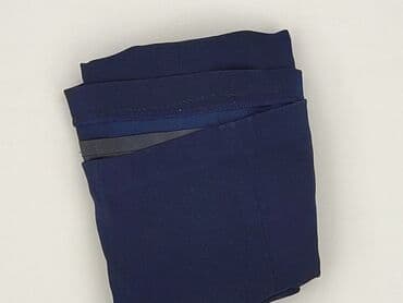 niebieska spódnice plisowane: Spódnica damska, 3XL — 6