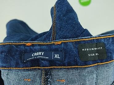 Denim Collection, Джинси жіночі, розмір XL — 4