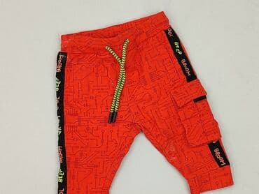 Sweatpants: Sweatpants, Coccodrillo, 1-3 months, condition - Very good