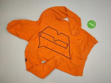 wojana bluzy: Women`s hoodie, size 2XL — 4