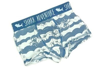 sukienka dla 6 latki: Panties, Lupilu, 3-4 years, condition - Perfect — 1