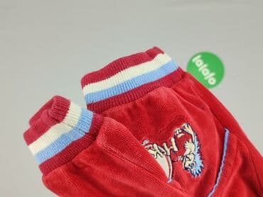 pomaranczowe spodnie dresowe: Sweatpants, 3-6 months, condition - Good — 4