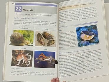 Книги: Книга, жанр - Навчальний, стан - Дуже гарний — 3